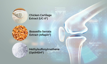 UC-II®, MSM & Boswellia: Natural Support for Healthy Joints