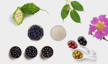 Nature’s Answer to Blood Sugar: 6 Botanicals Backed by Science
